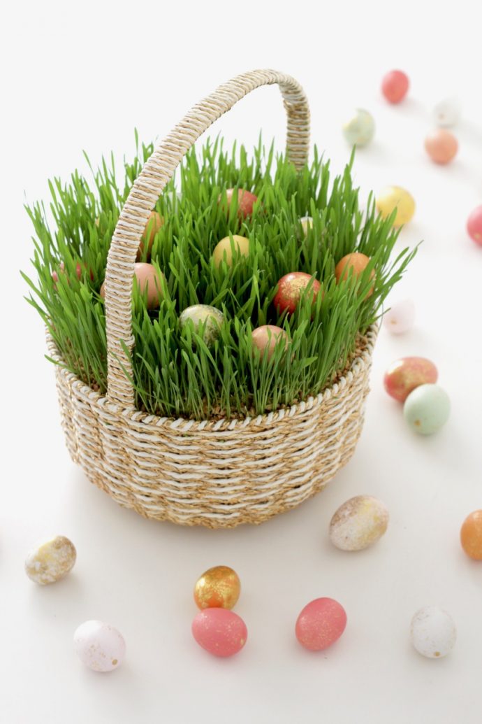Grow Easter Grass in a Basket - in 5 Days!  Easter basket grass, Easter  grass, Easter basket crafts